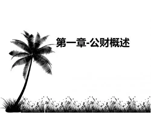 02公共组织财务管理概述