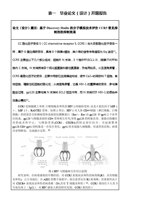 中山大学毕业论文(设计)开题报告