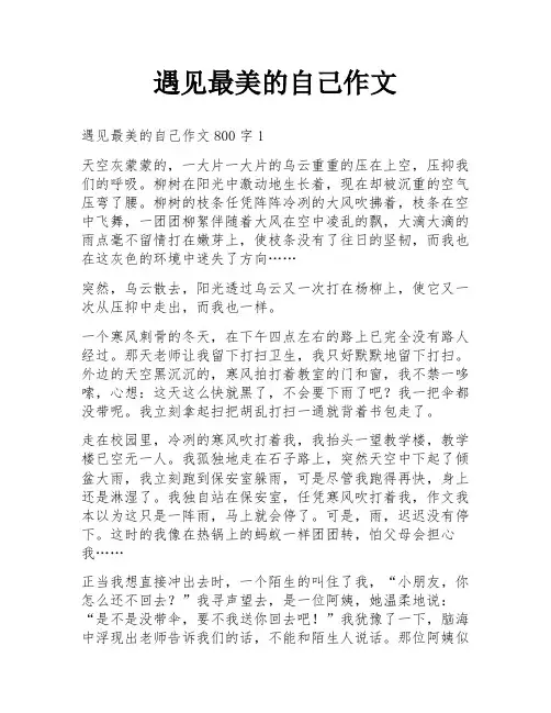 遇见最美的自己作文