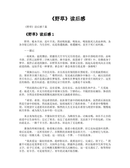 《野草》读后感