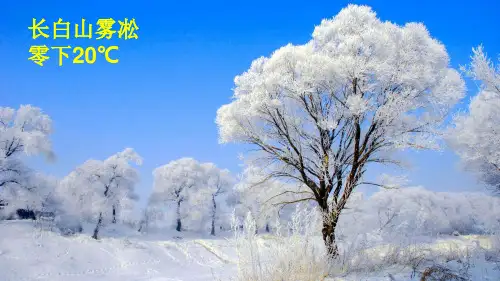 六年级数学下册第1单元负数第1课时负数的初步认识课件新人教版