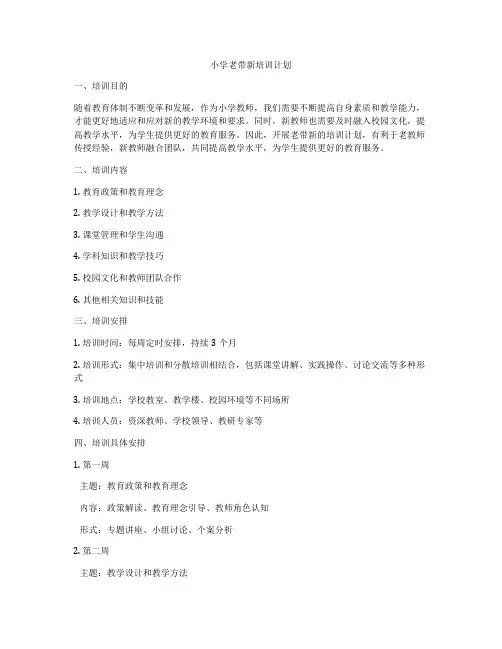 小学老带新培训计划