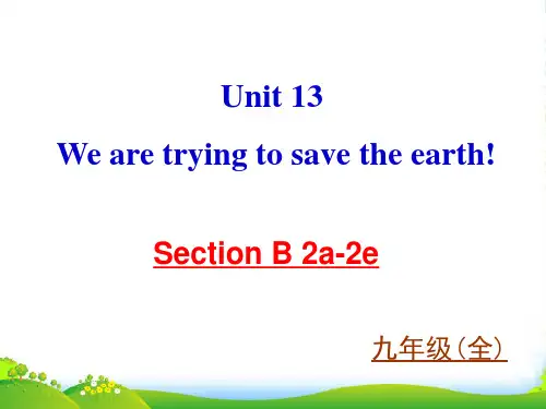 人教版九年级英语下册Unit 13 Section B-2课件(35张)