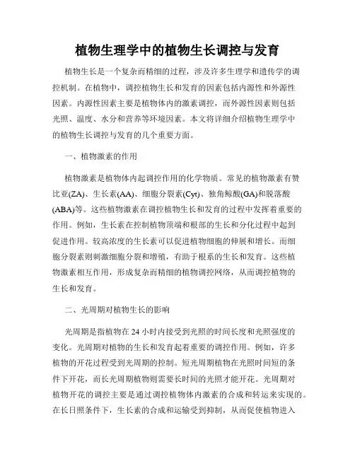 植物生理学中的植物生长调控与发育
