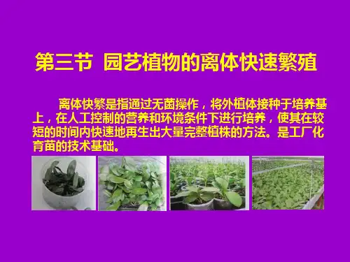 第三章第三节 园艺植物的离体快繁