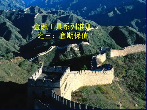 新企业会计准则讲座24+套期保值