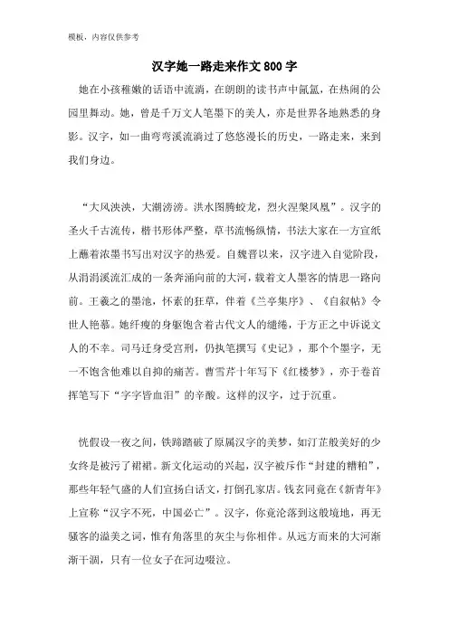 汉字她一路走来作文800字