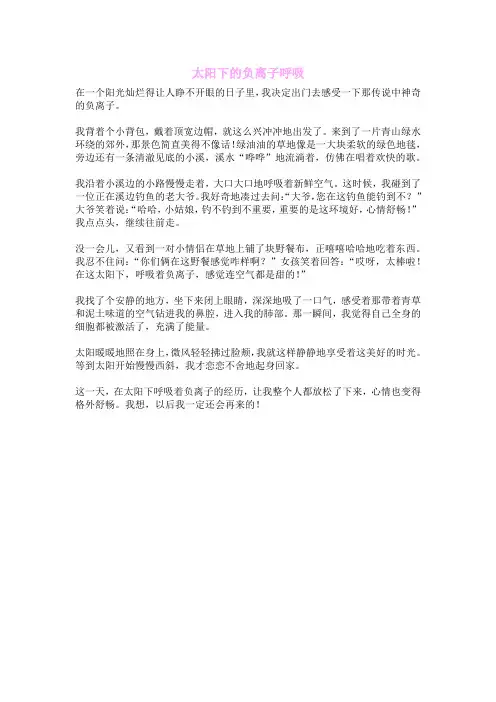 太阳下的负离子呼吸