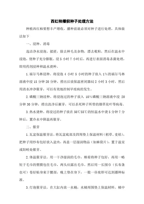 西红柿播前种子处理方法