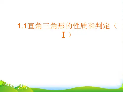 湘教版八年级数学下册第一章《直角三角形的性质和判定(Ⅰ)》优课件