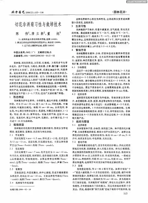 切花非洲菊习性与栽培技术