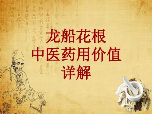 中药学_龙船花根_药材详解课件模板
