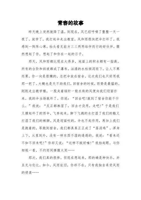 《青春的故事》初三满分作文3篇