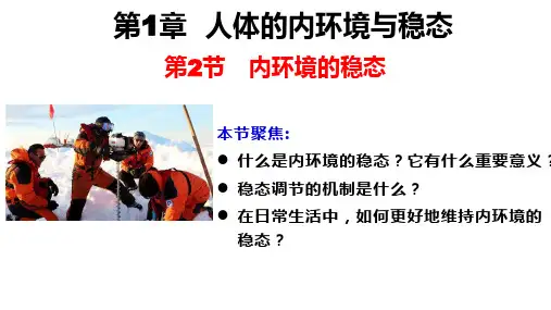 1.2 内环境的稳态课件-高二生物课件(人教版2019选择性必修1)