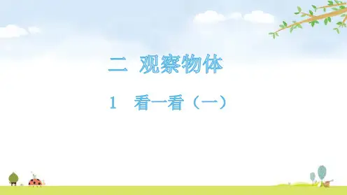一年级【下】册数学-1看一看(一)-北师大版(11张ppt)公开课课件