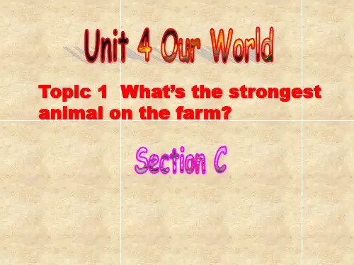 仁爱版八年级英语上册 Unit 4 Topic 1 Section C 课件(共26张PPT)