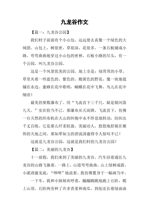 九龙谷作文