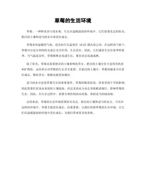 草莓的生活环境