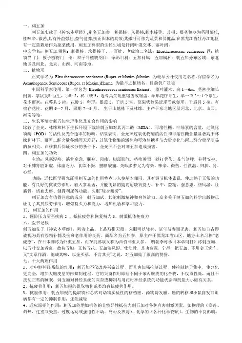 新鲜野菜-刺五加.