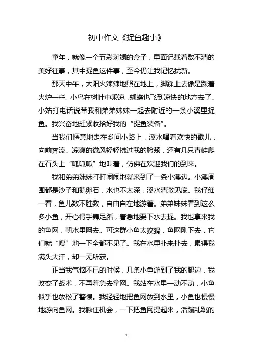 捉鱼趣事作文800字初中