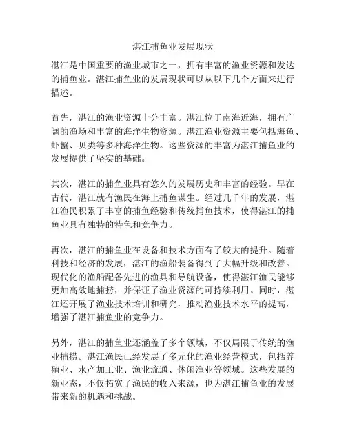 湛江捕鱼业发展现状