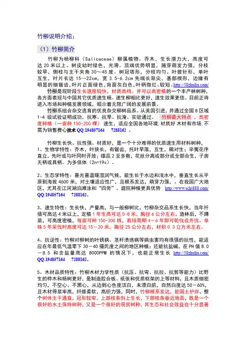 竹柳的介绍及其市场分析