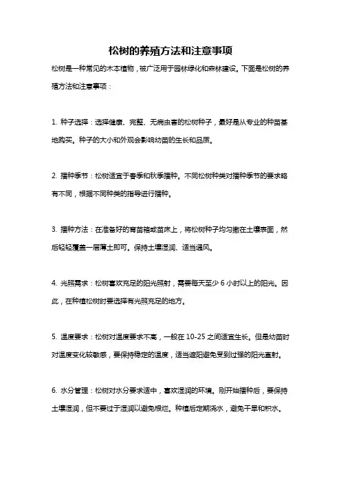 松树的养殖方法和注意事项