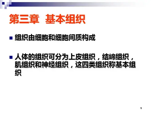 解剖学 细胞和基本组织PPT课件