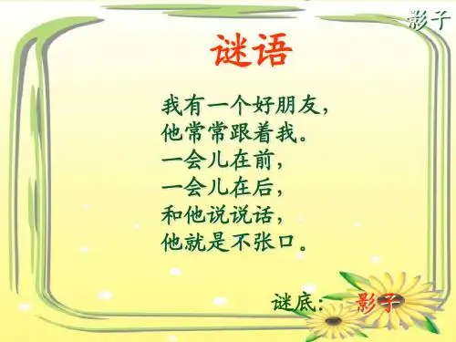 《影子》ppt课件好