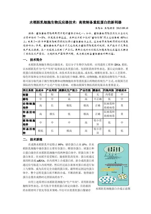 水稻胚乳细胞生物反应器技术