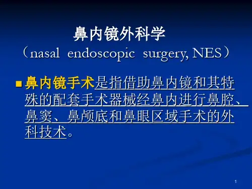 鼻内镜外科学(NES)PPT课件
