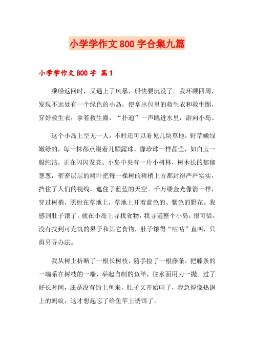 小学学作文800字合集九篇(多篇)