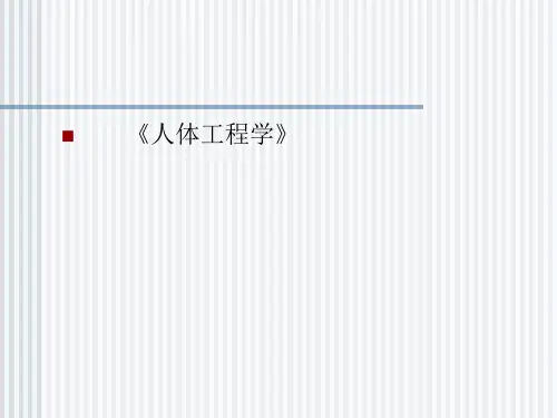 人体工程学(课件)
