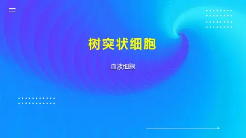 树突状细胞 