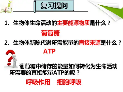 5.3细胞呼吸的原理和应用课件新教材人教版高中生物必修一