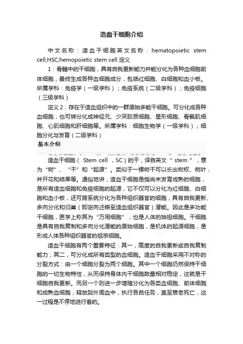 造血干细胞介绍