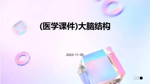 (医学课件)大脑结构