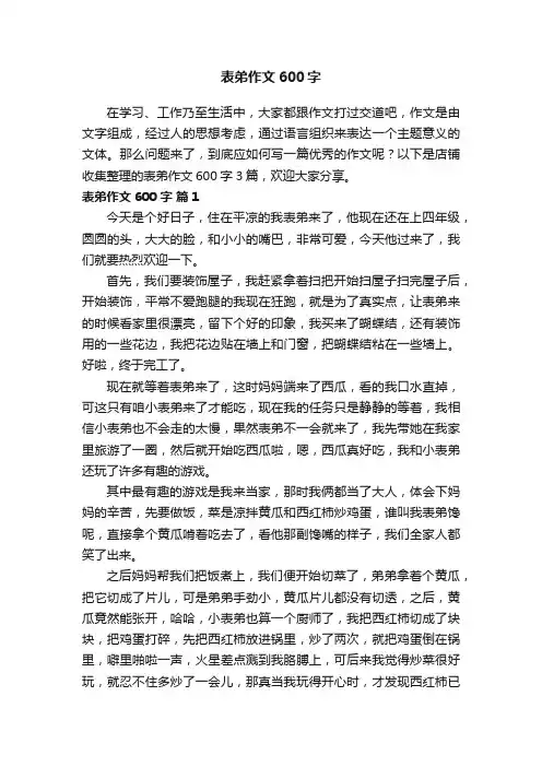 表弟作文600字