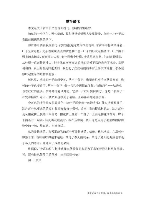 落叶纷飞_初中作文