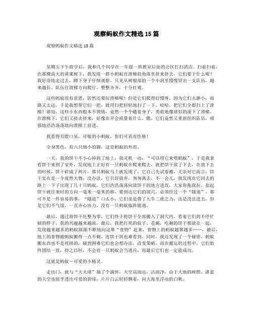 观察蚂蚁作文精选15篇