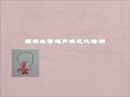 颈部血管超声规范