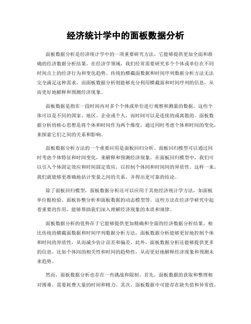 经济统计学中的面板数据分析