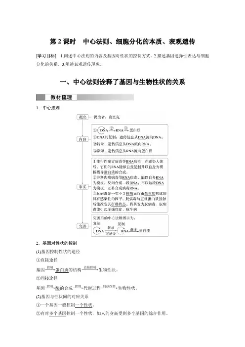 第二章 第三节 第2课时 中心法则、细胞分化的本质、表观遗传-2024-2025学年高中生物必修2(