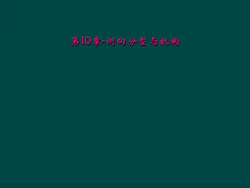 第10章侧向分型与机构