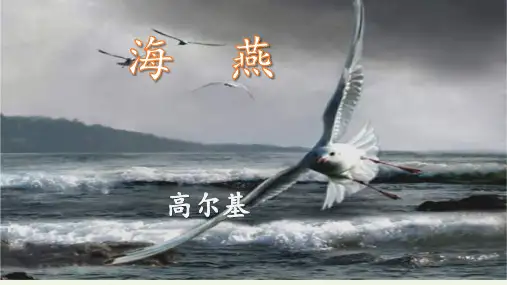 第4课《海燕》课件(共43张ppt) 部编版语文九年级下册