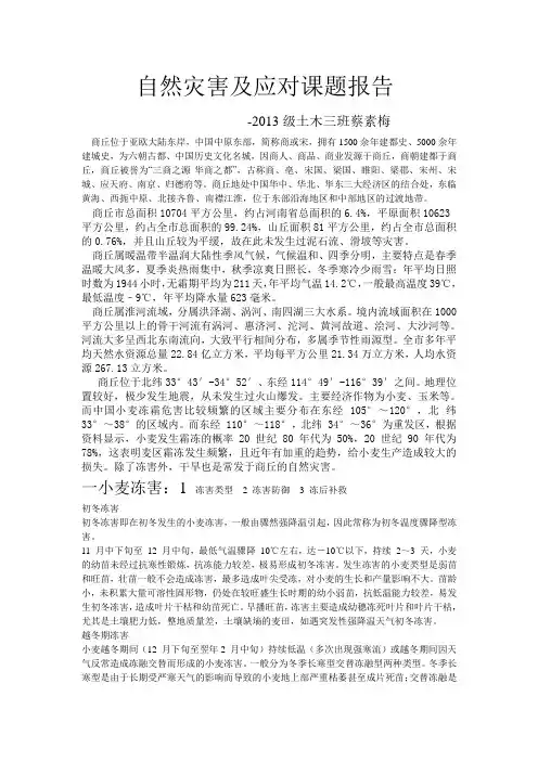 自然灾害及应对课题报告