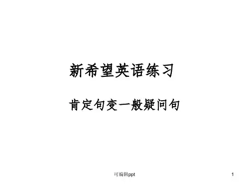 小学一般疑问句ppt课件