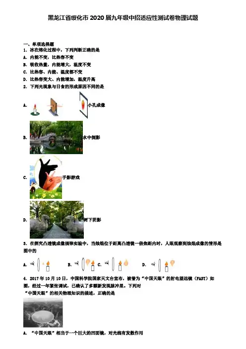 黑龙江省绥化市2020届九年级中招适应性测试卷物理试题