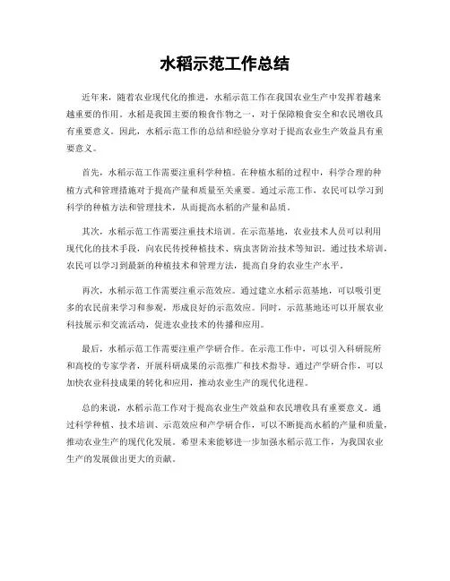 水稻示范工作总结