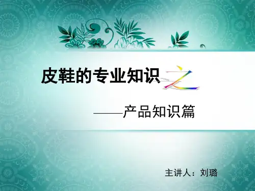 皮鞋PPT2(鞋的专业知识)